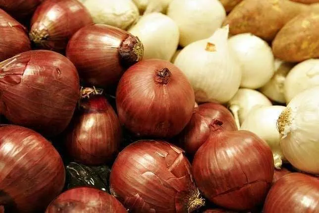 Soğan Kürü Nedir, Faydaları Nelerdir, Nasıl Hazırlanır?