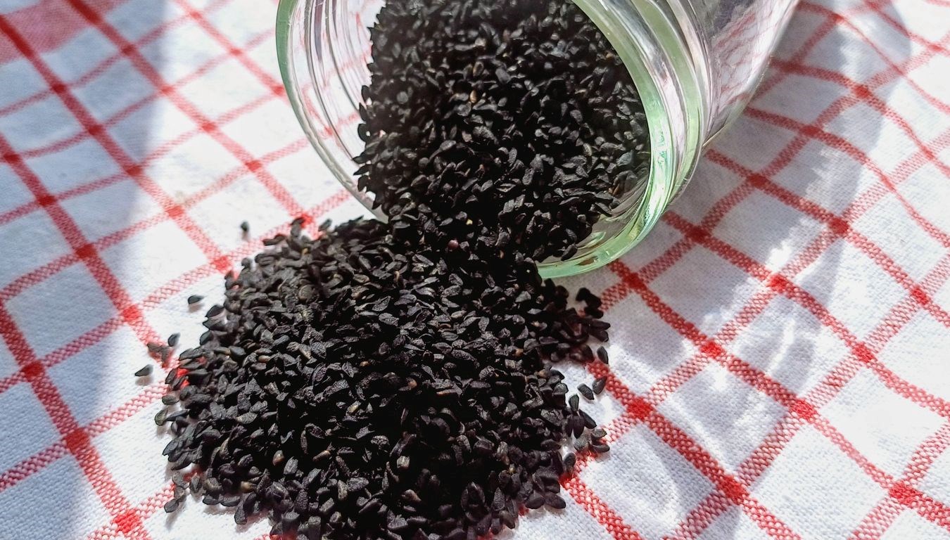 Çörek Otu: Dünyanın 1 numaralı iltihap önleyicisi