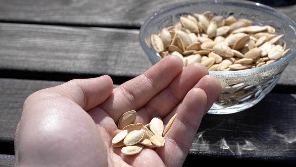 kuruyemis magnezyum kaynaklarinin en guclusu 3 vO2wWyNX