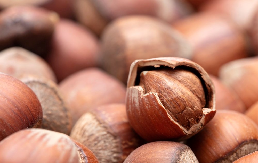 kuruyemis magnezyum kaynaklarinin en guclusu 4 Rpmk556K