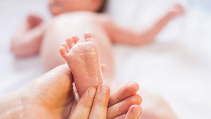 Yaz Aylarının Kabusu Sivrisinekler 11 yaz aylarinin kabusu sivrisinekler 10 8NzdlPgp