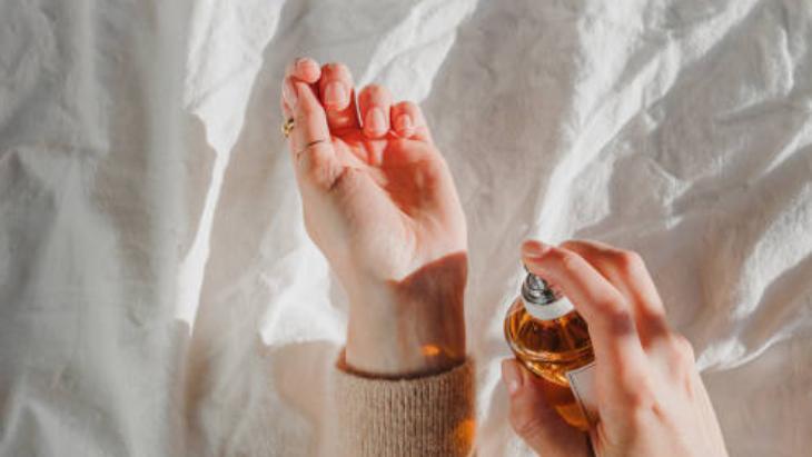 Yaz Aylarının Kabusu Sivrisinekler 13 yaz aylarinin kabusu sivrisinekler 12 KqOPmn2n