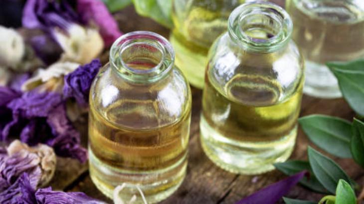 Yaz Aylarının Kabusu Sivrisinekler 6 yaz aylarinin kabusu sivrisinekler 5 UR2JR7RS