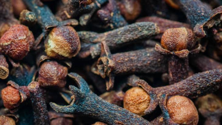 Yaz Aylarının Kabusu Sivrisinekler 7 yaz aylarinin kabusu sivrisinekler 6