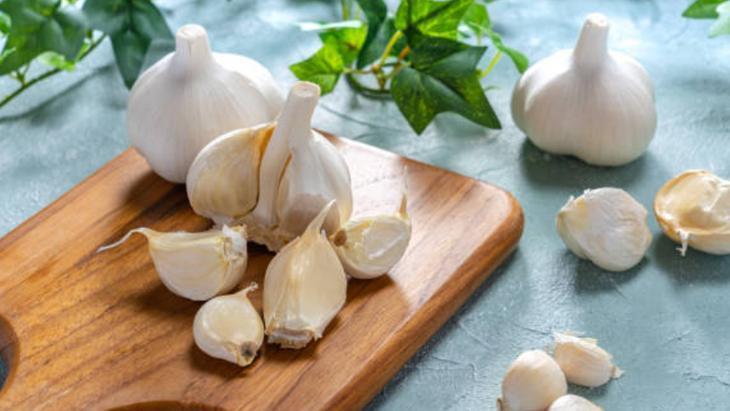 Yaz Aylarının Kabusu Sivrisinekler 8 yaz aylarinin kabusu sivrisinekler 7 KzS1v9nI