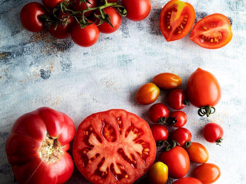 domates yiyen hastalik nedir unutuyor 2