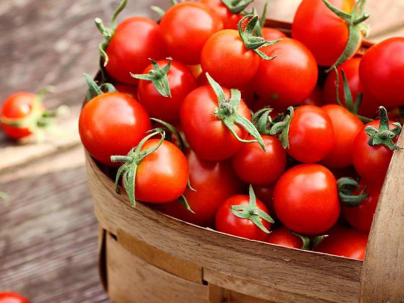 domates yiyen hastalik nedir unutuyor 3 ufbL68Je