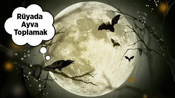 Rüyada Ayva Toplamak